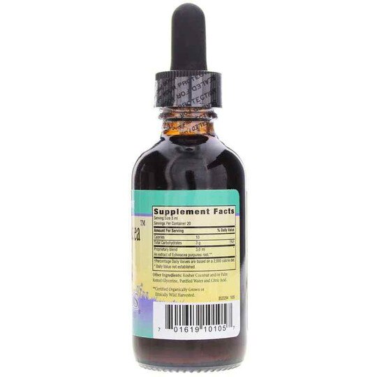 Sweet Echinacea, HFK